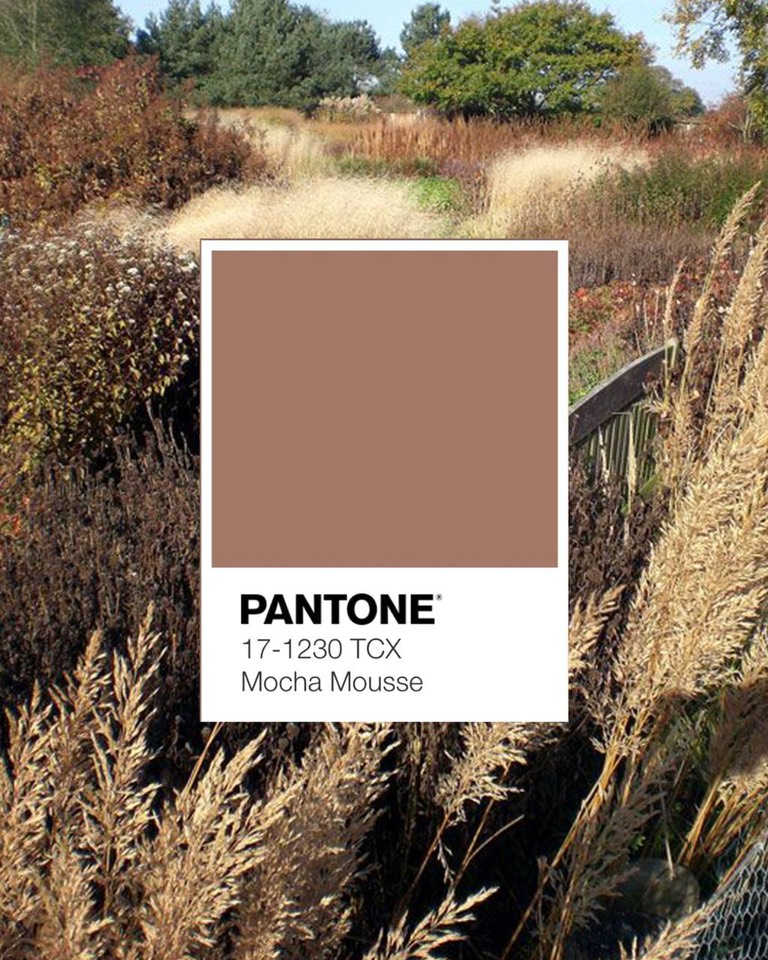 Растения в цвете PANTONE 2025